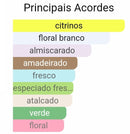 Ameerat Al Arab 100ML